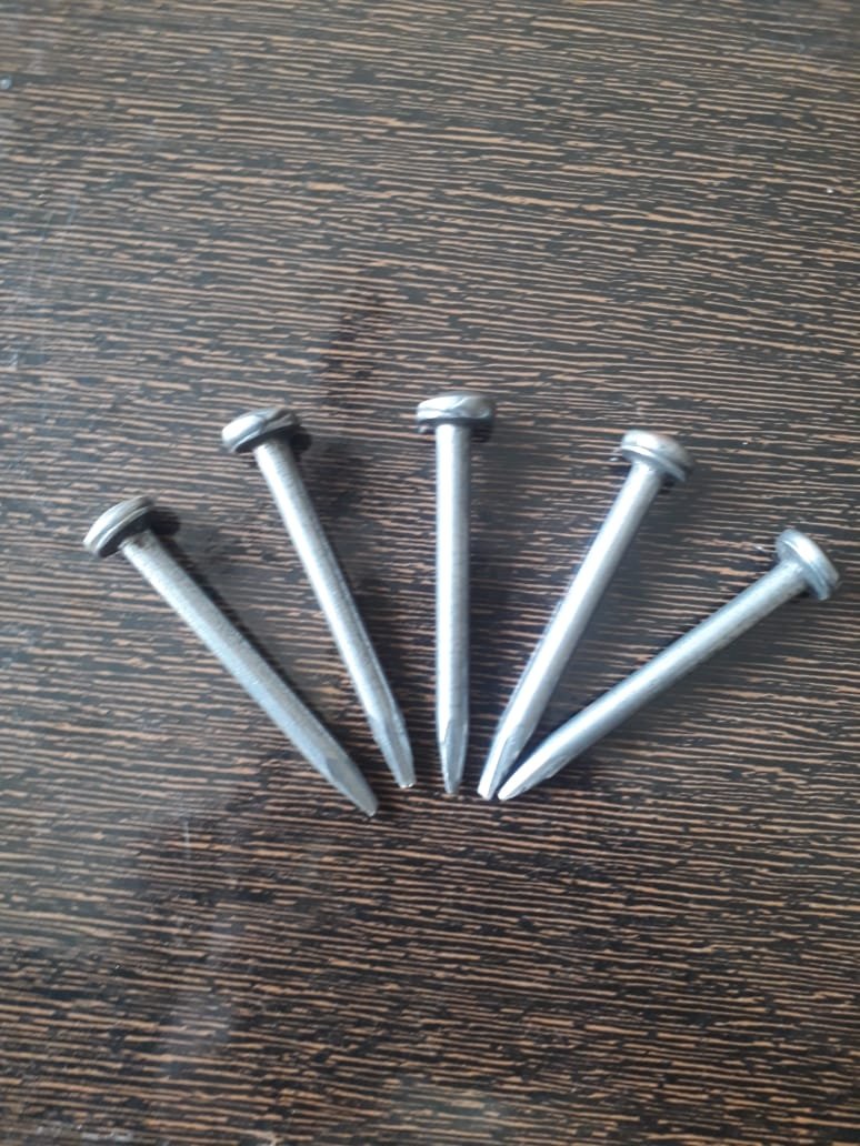 Roofing Nails 2.5 Inch