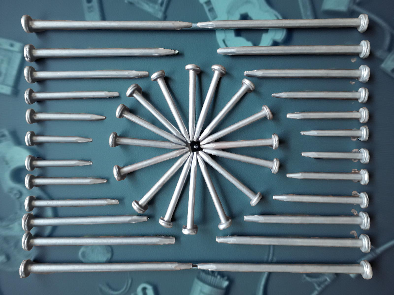 WhatsApp Image 2025-10-09 at 3.36.31 PM