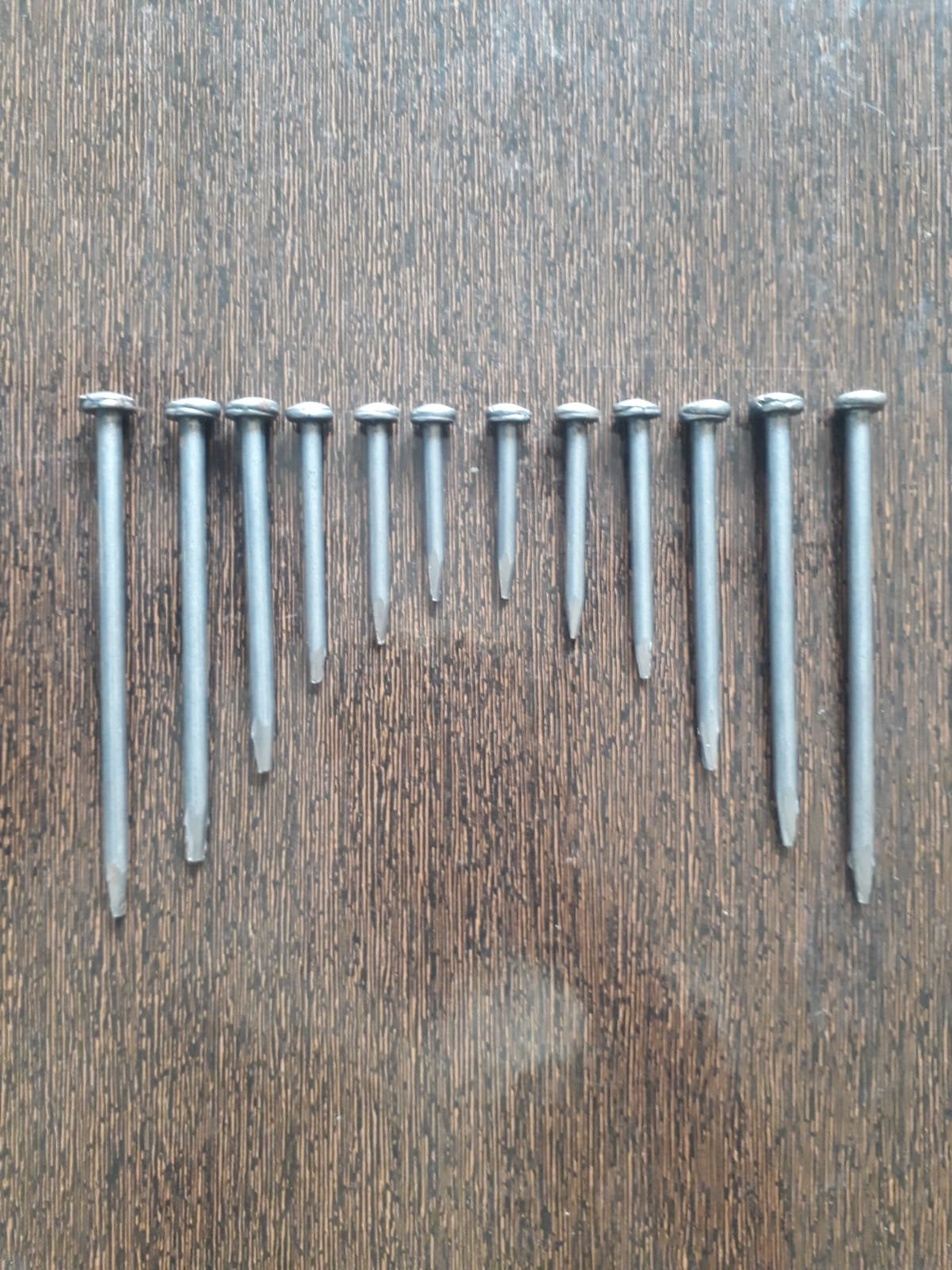 WhatsApp Image 2025-10-15 at 2.41.30 PM (1)